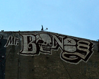 Mr. Bones
