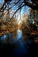 Bronx River